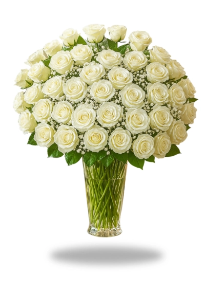 Peaceful Premium White Roses